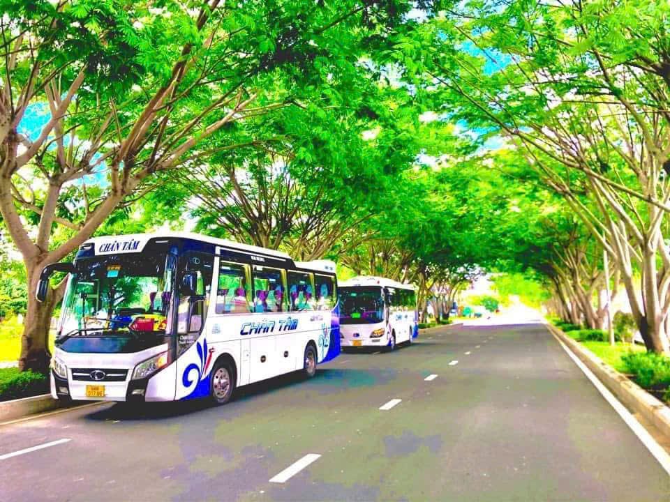 Xe 29 Chổ Thaco Meadow 85S